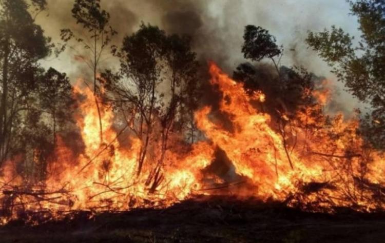 oracion-y-ayuda-de-los-correntinos-ante-los-incendios-que-arrasan-con-la-provincia-9lSs.jpg